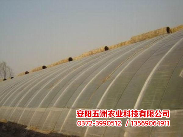 溫室大棚 溫室大棚